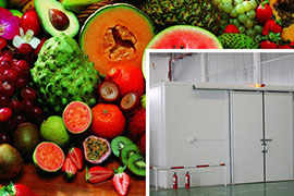 vegetables and fruits storage room